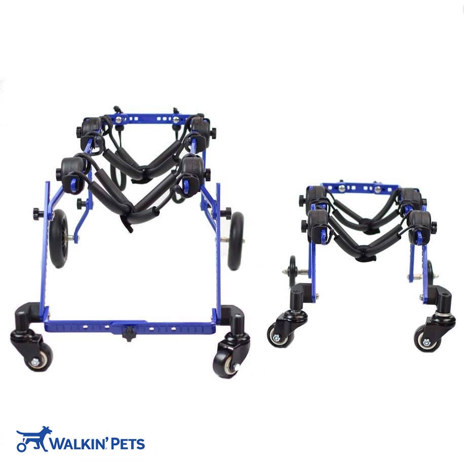 Quad four wheel full support dog wheelchair